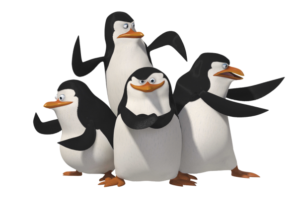 Pinguin PNG Free Download 14