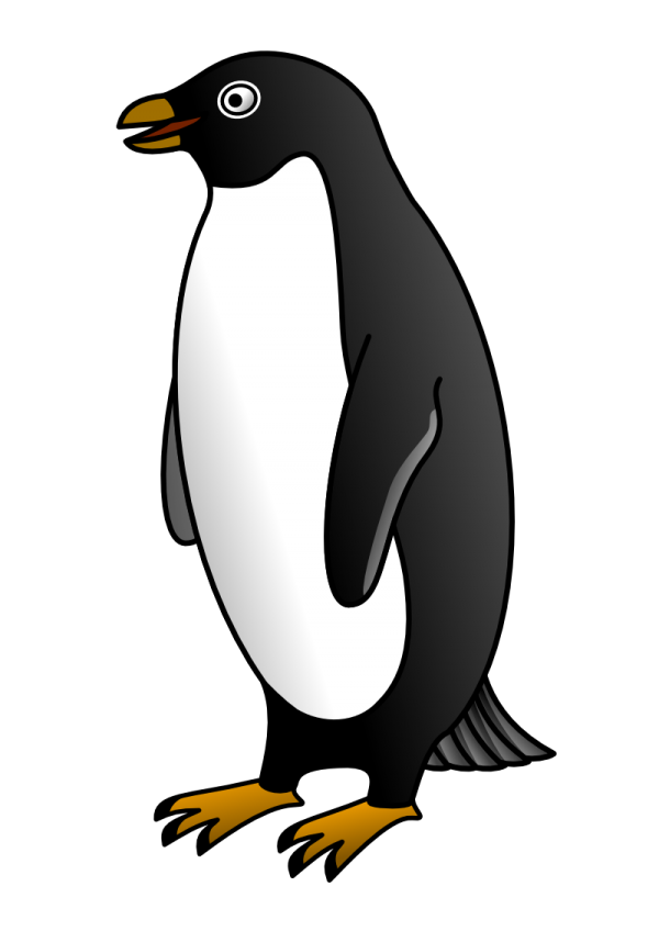 Pinguin PNG Free Download 18