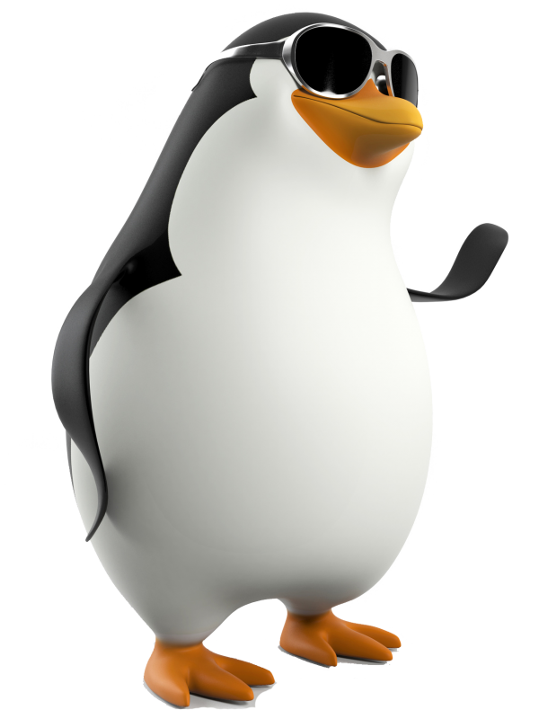 Pinguin PNG Free Download 8