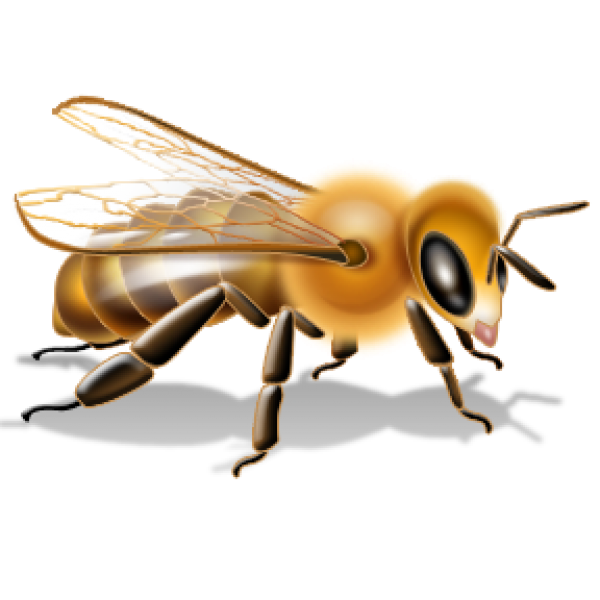 png bee free