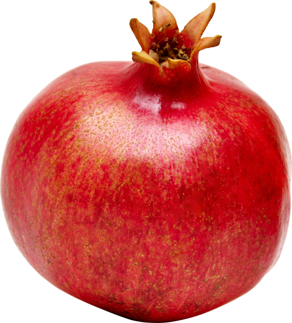Pomegranate PNG Free Download 10