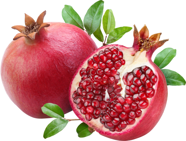 Pomegranate PNG Free Download 11
