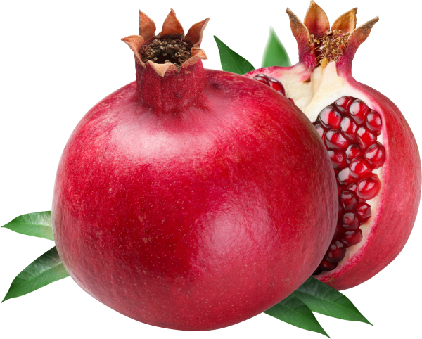 Pomegranate PNG Free Download 12