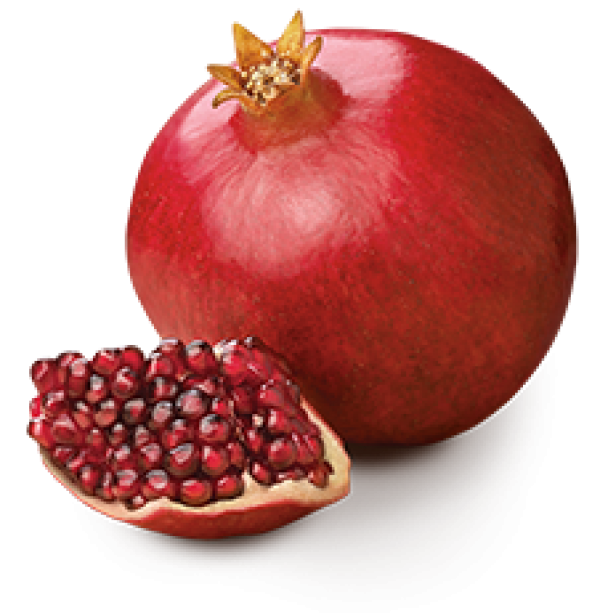 Pomegranate PNG Free Download 14