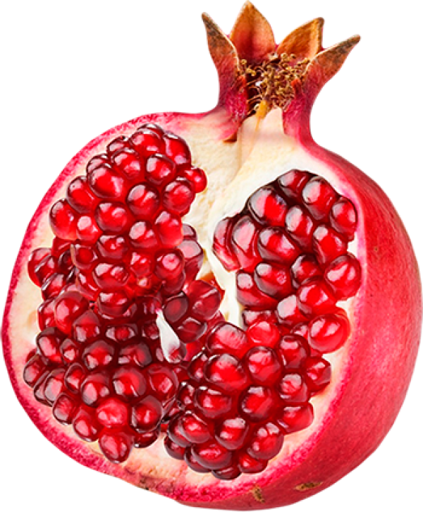 Pomegranate PNG Free Download 16