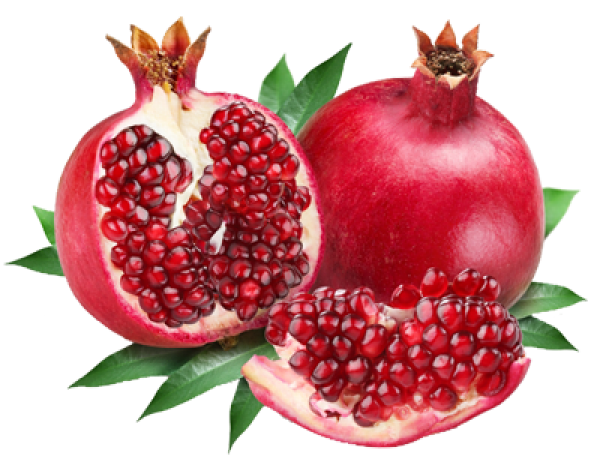 Pomegranate PNG Free Download 17