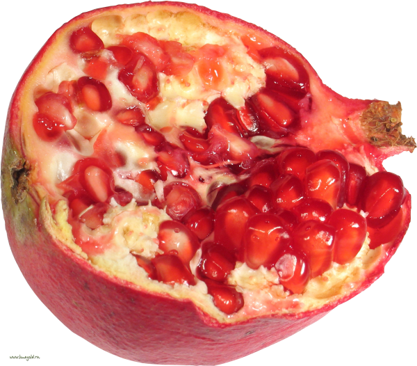 Pomegranate PNG Free Download 2