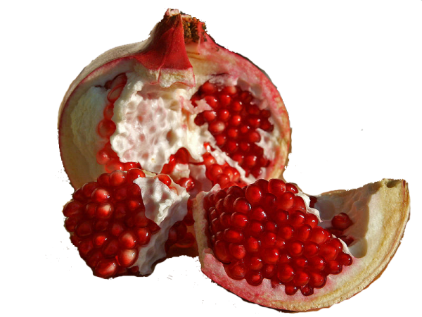Pomegranate PNG Free Download 4