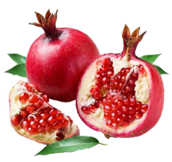 Pomegranate PNG Free Download 5