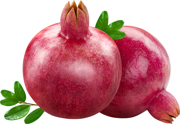 Pomegranate PNG Free Download 9