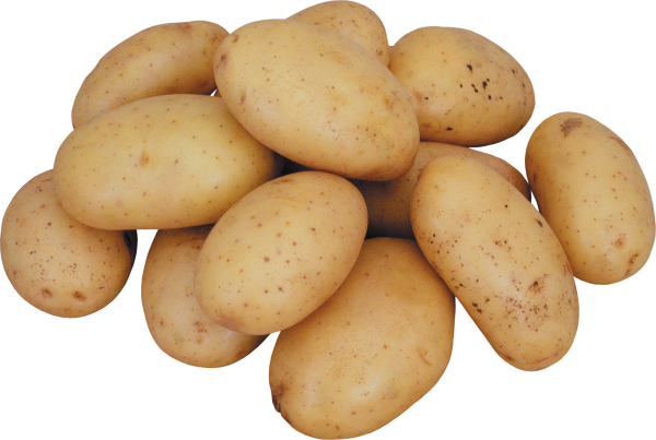 Potato PNG Free Download 11