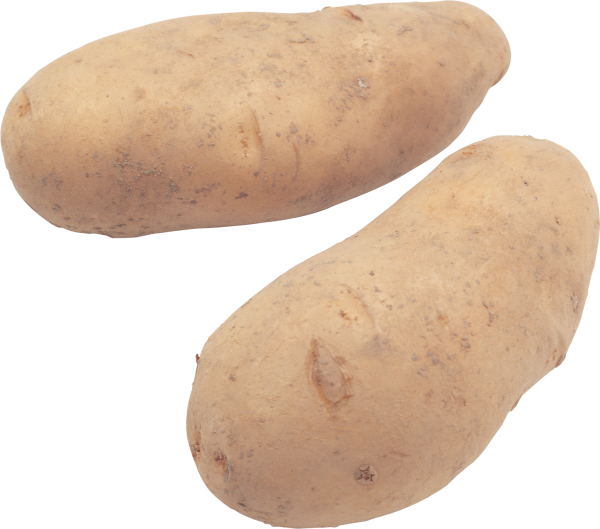 Potato PNG Free Download 16