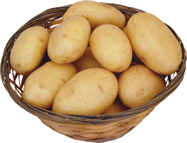 Potato PNG Free Download 17