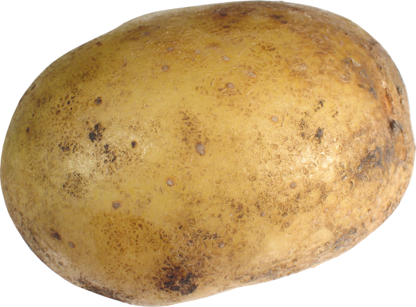 Potato PNG Free Download 20