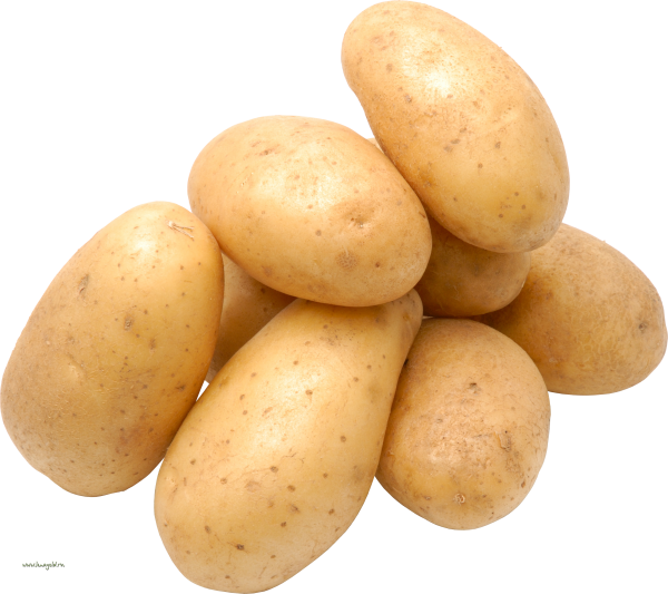Potato PNG Free Download 23