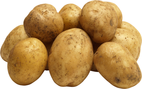 Potato PNG Free Download 24