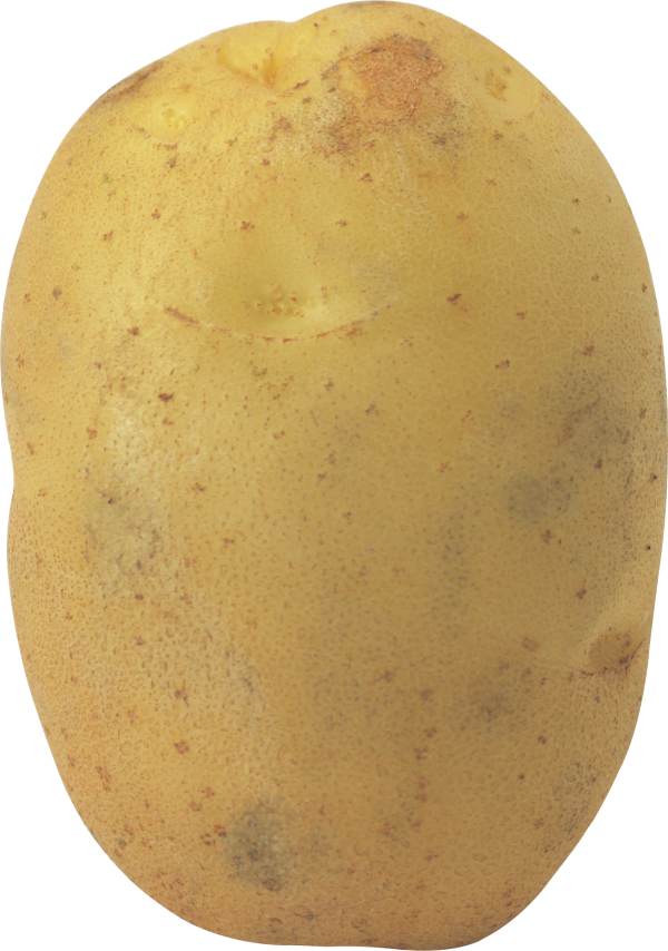 Potato PNG Free Download 25