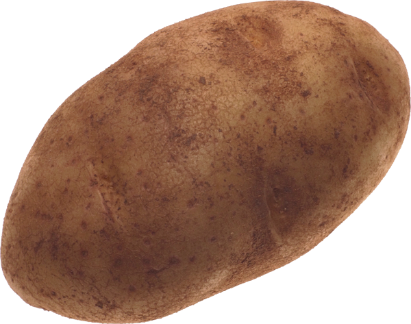 Potato PNG Free Download 26