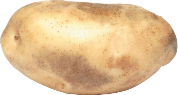 Potato PNG Free Download 27