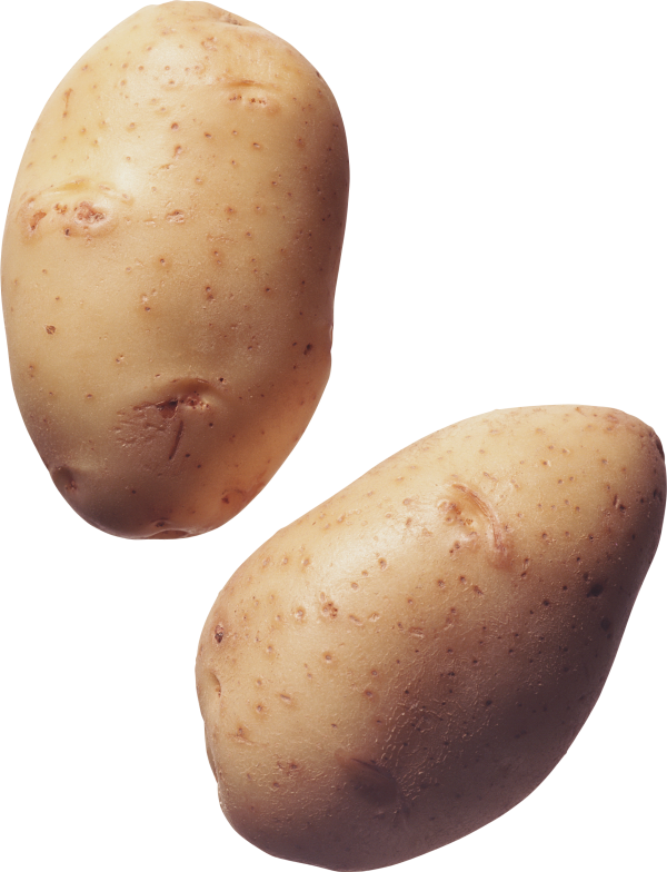 Potato PNG Free Download 28