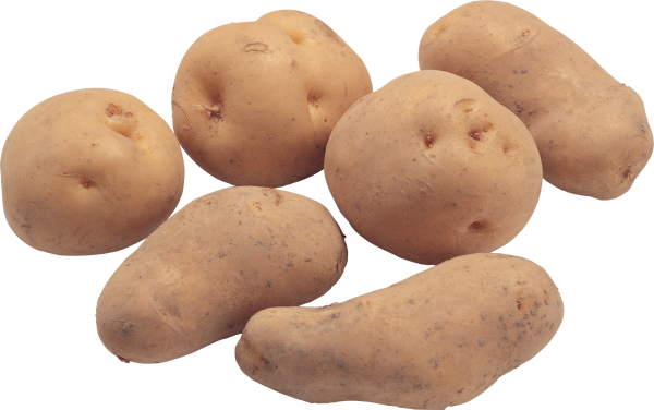 Potato PNG Free Download 29