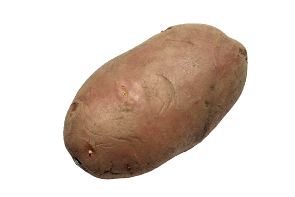 Potato PNG Free Download 3