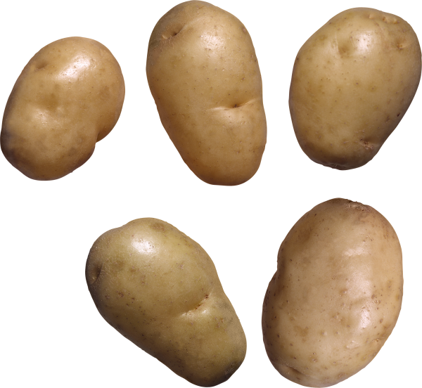 Potato PNG Free Download 30