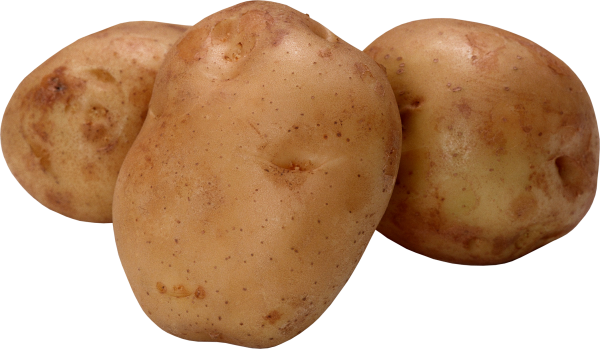 Potato PNG Free Download 36