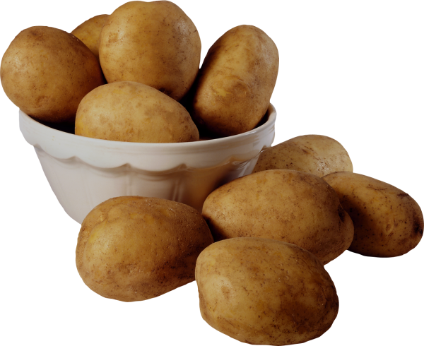 Potato PNG Free Download 6