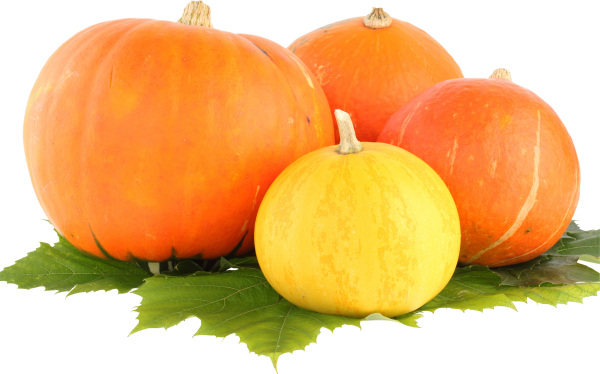 Pumpkin PNG Free Download 46