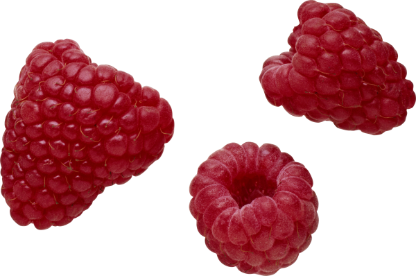 Raspberry PNG Free Download 1