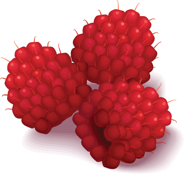 Raspberry PNG Free Download 14