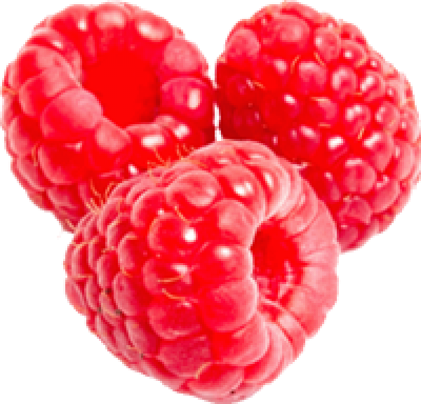 Raspberry PNG Free Download 2