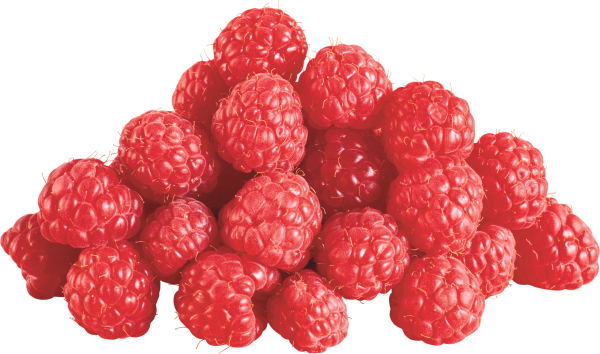Raspberry PNG Free Download 24