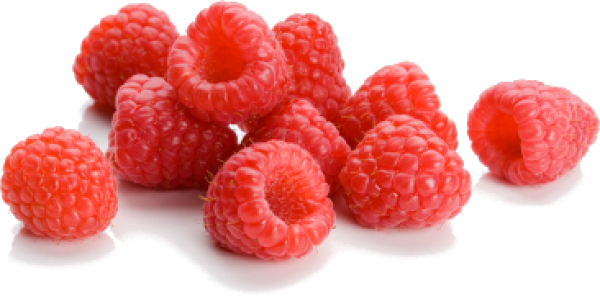 Raspberry PNG Free Download 27