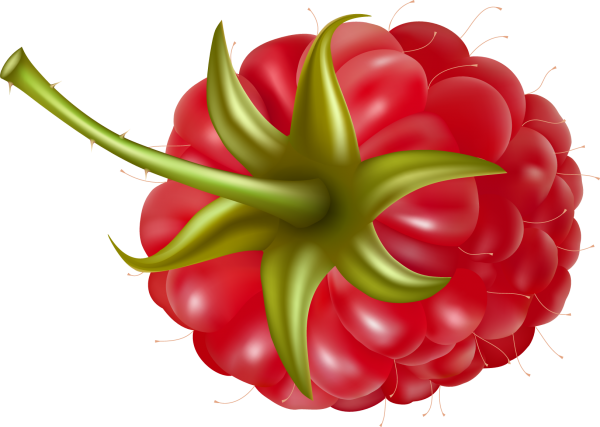 Raspberry PNG Free Download 29