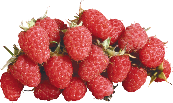Raspberry PNG Free Download 3