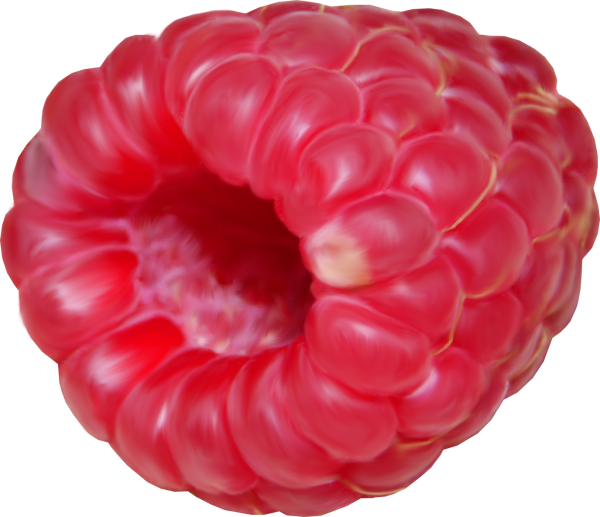 Raspberry PNG Free Download 31