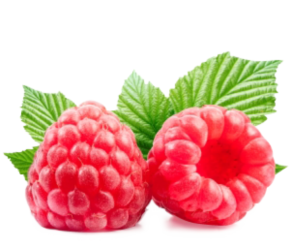 Raspberry PNG Free Download 32