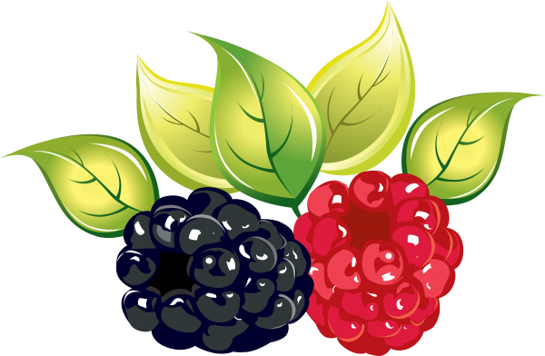 Raspberry PNG Free Download 33