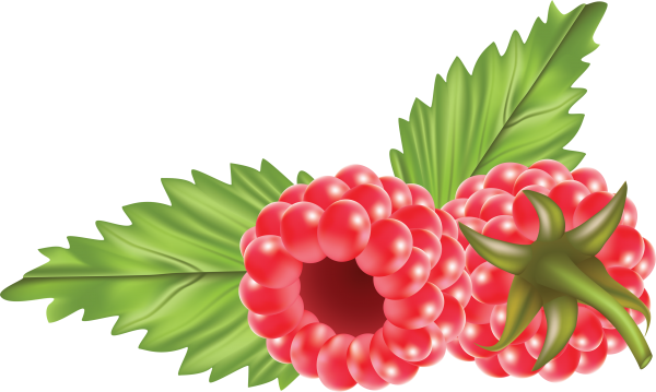 Raspberry PNG Free Download 34