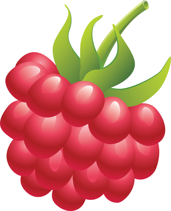 Raspberry PNG Free Download 35