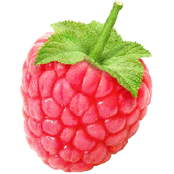 Raspberry PNG Free Download 36