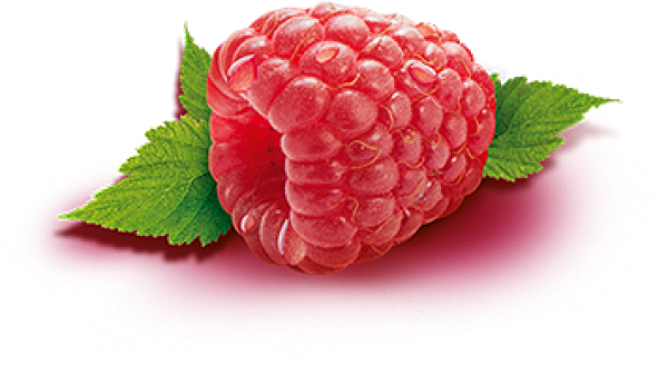 Raspberry PNG Free Download 37