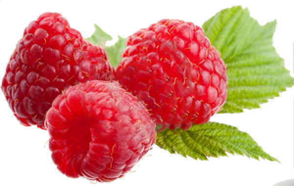Raspberry PNG Free Download 39