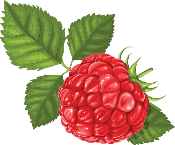 Raspberry PNG Free Download 5