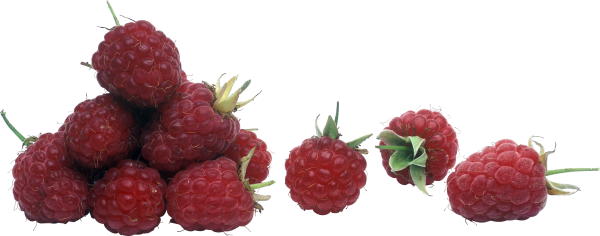 Raspberry PNG Free Download 6