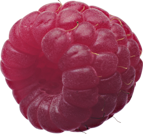Raspberry PNG Free Download 9