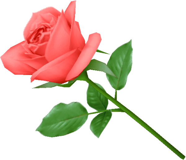 red rose green leaves clipart free png download