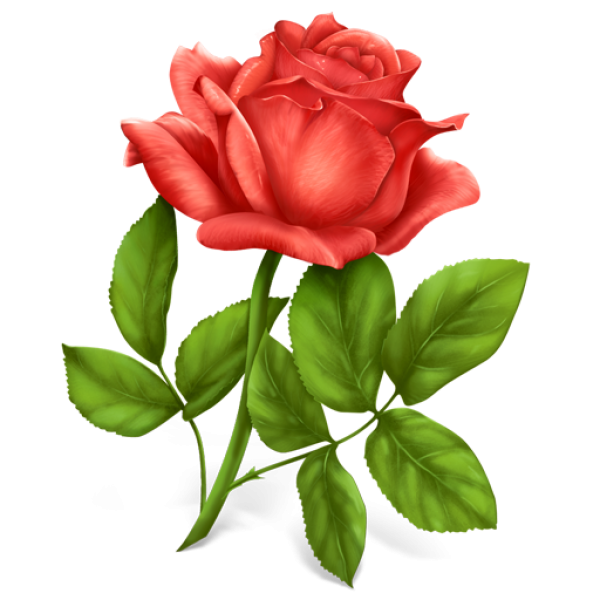 red rose with leaves clipart free png download